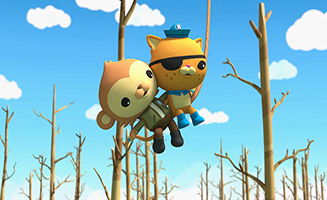Octonauts - Above and Beyond S02E17 The Octonauts and the Rainforest Rescue