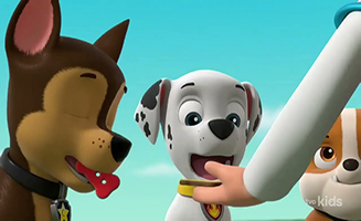 PAW Patrol S10E09A Pups Stop a Gold Finding Machine