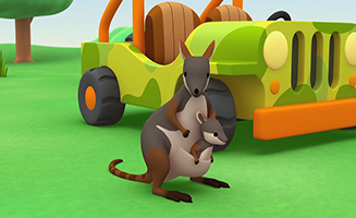 Leo the Wildlife Ranger S01E27 Yellow Footed Rock Wallaby