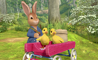 Peter Rabbit S02E11 Missing Ducklings - Hungry Thieves