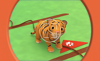 Leo the Wildlife Ranger S01E57 Malayan Tiger