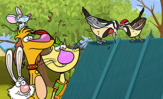 Nature Cat S01E18 Woodpecker Picks A Place - Here Comes the Sun