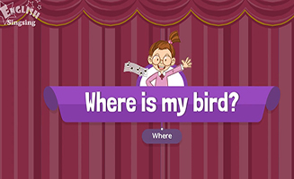 Where Is My Bird