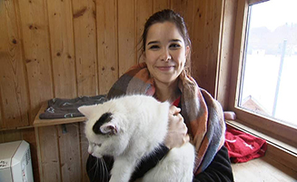 Anna Pia Und Die Haustiere Tierheimkatze