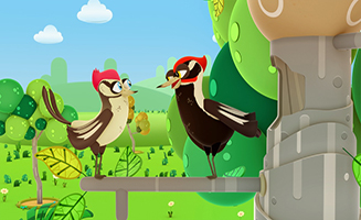 Snail Trail S01E08 Woodpeckers - Roosters - Sloths