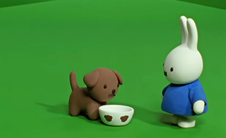 Miffy And Friends S01E09 Snuffy's Birthday