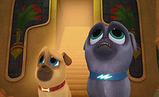 Puppy Dog Pals S01E04 A Pyramid Scheme - Special Delivery