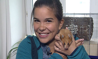 Anna Pia Und Die Haustiere Hamster