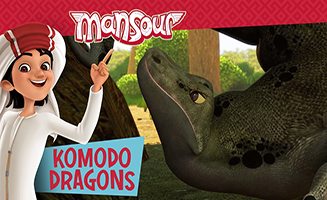 Mansour S03E14 Komodo Dragons