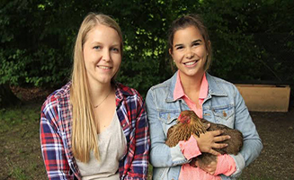 Anna Pia Und Die Haustiere Huhn