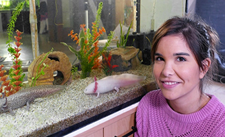 Anna Pia Und Die Haustiere Axolotl