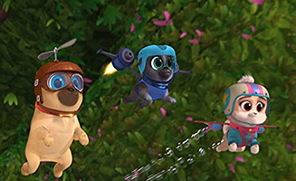 Puppy Dog Pals S02E06 Operation Dinner - The Case of the Missing Caterpillar