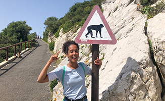 Anna Pia Und Die Haustiere Die Affenbande Von Gibraltar
