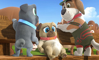 Puppy Dog Pals S03E17 Suitcase Switcheroo - More Cowbell for Bob
