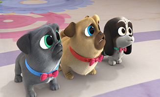 Puppy Dog Pals S05E04 Family Pet Picture Day - Cat Park