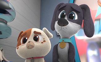 Puppy Dog Pals S04E01 The New Crew - The Raiders of The Lost Bark