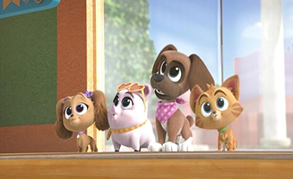 Puppy Dog Pals S05E01 New Pals on the Block - Aunt and  Uncle Day