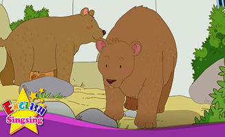 How Many Bears - Three Bears