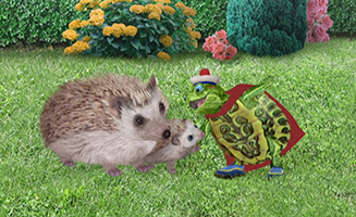 The Wonder Pets S01E12A Save the Hedgehog