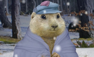 The Wonder Pets S03E18A Help the Groundhog