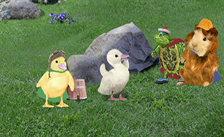 The Wonder Pets S01E08A Save the Swan