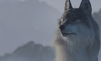 Yao Chinese Folktales S01E03 She wolf