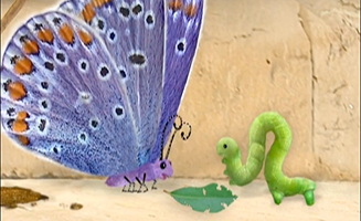 The Wonder Pets S01E04A Save the Caterpillar