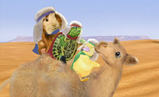 The Wonder Pets S01E11A Save the Camel