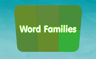 Word Family Ame