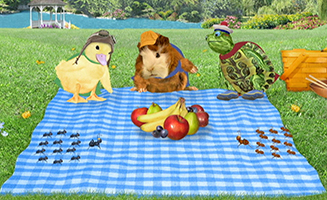 The Wonder Pets S01E11B Save the Ants