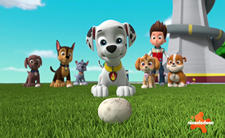 Paw Patrol S10E24B Pups Save the Buggy Trekkers
