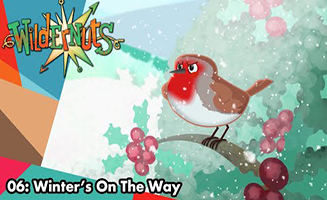 Wildernuts S01E02c Winters on the Way