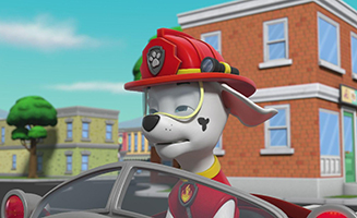 Paw Patrol S09E23 Pups Save Alexs Feathery Friends - Pups Save a Puffy Mayor