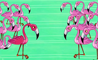 Tinga Tinga Tales S01E25 Why Flamingo Stands On One Leg