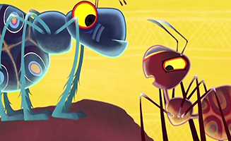 Tinga Tinga Tales S02E33 Why Ants Work Together