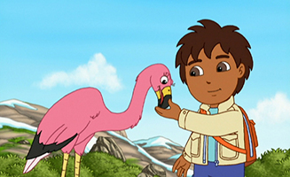 Go Diego Go S03E17 A New Flamingo Mami