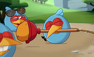 Angry Birds Toons S01E28 Catch Of The Day