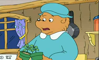 The Berenstain Bears S02E20 Don't Pollute Anymore