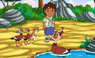 Go Diego Go S03E08 Whistling Willie Finds A Buddy