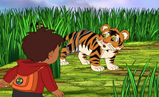 Go Diego Go S04E08 Bengal Tiger Makes A Wish