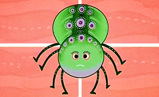 Tinga Tinga Tales S01E12 Why Spider Has A Tiny Waist