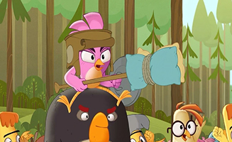 Angry Birds Summer Madness S02E02 A Knight's Tailfeathers