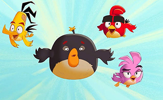 Angry Birds Summer Madness S02E15 Crash Course