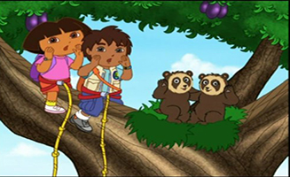Go Diego Go S01E15 Chito And Rita The Spectacled Bears