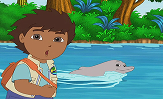 Go Diego Go S02E02 Diego Saves Baby River Dolphin