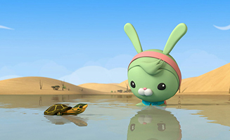 Octonauts - Above and Beyond S03E01 Pininga Turtle