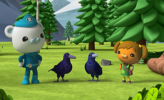 Octonauts - Above and Beyond S03E09 Rival Ravens