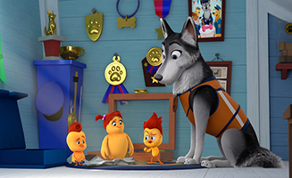 The Chicken Squad S01E06 The Squirrel Next Door - The Stakeout Mistake