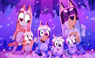 Bluey Minisodes S01E07 Three Pigs