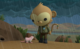 Octonauts - Above and Beyond S03E03 Pink Fairy Armadillo